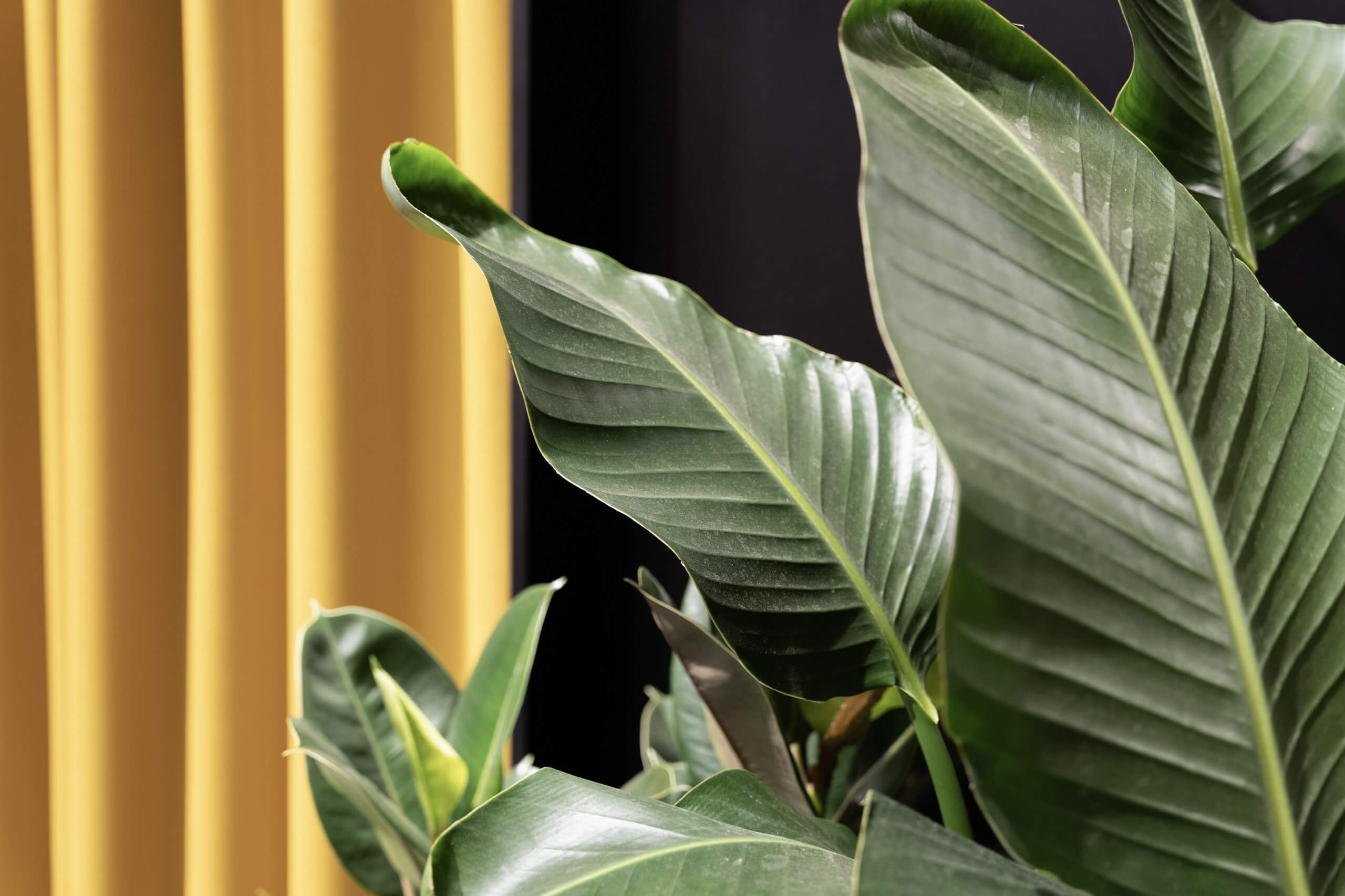 26-20211011-MOIA-3-DSC01708