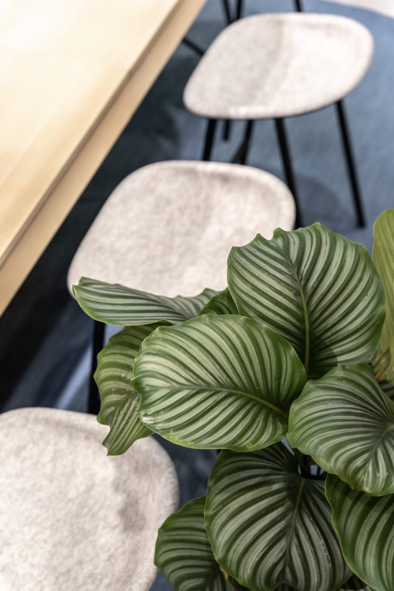 29-20211011-MOIA-3-DSC01718